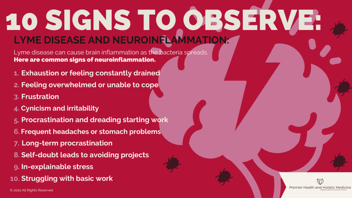 10 Signs to Observe Lyme Disease and Neuroinflammation Infographic
