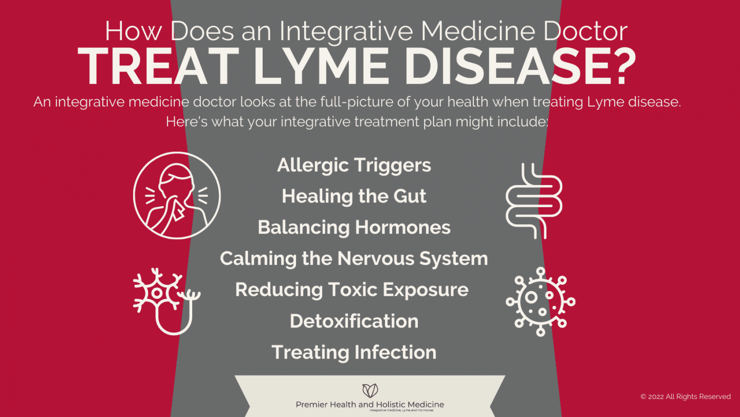 How Does an Integrative Medicine Doctor Treat Lyme Disease?  Infographic