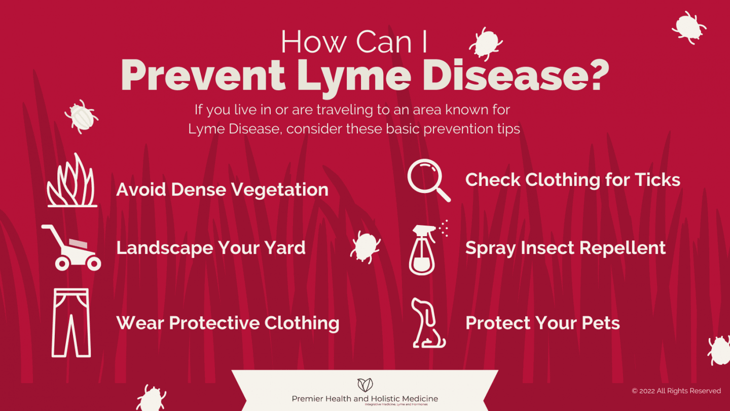 How Can I Prevent Lyme Disease?  infographic