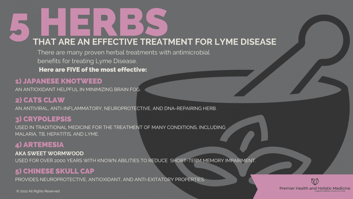 "5 Herbs That Are An Effective Treatment for Lyme Disease Infographic