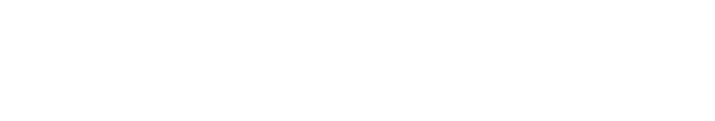 Premier Health and Holistic Medicine Logo