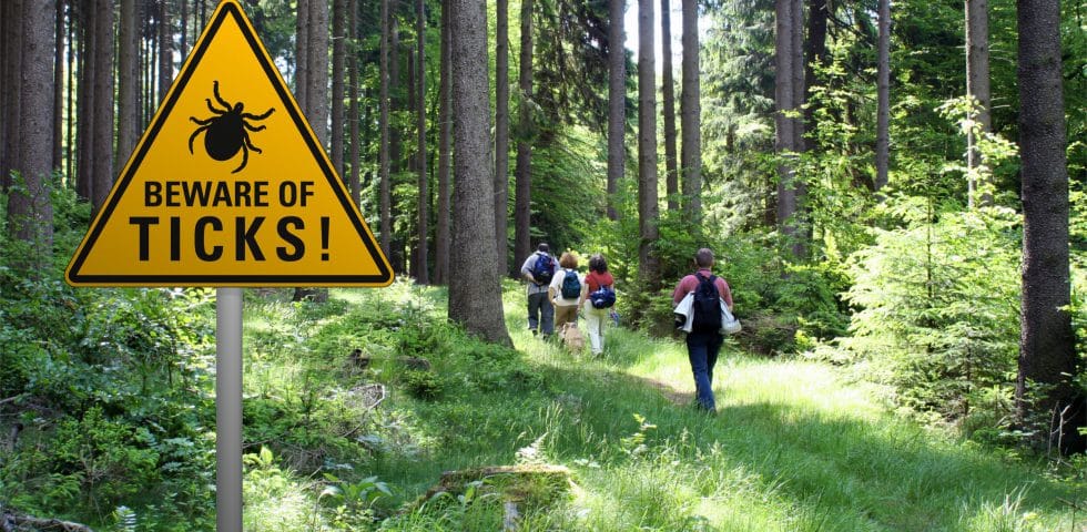 Tick warning sign on popular hiking trail